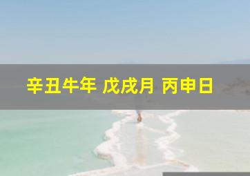 辛丑牛年 戊戌月 丙申日